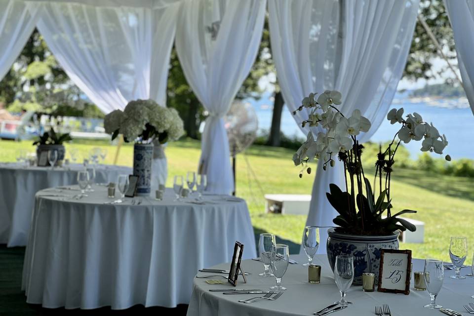 Hydrangea Centerpiece