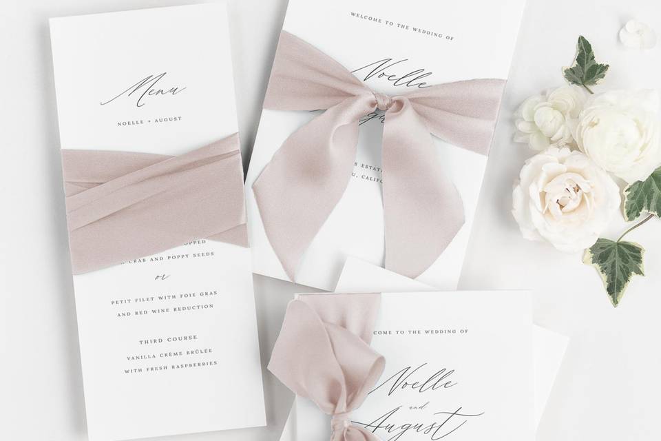 Menus and programs with ribbon