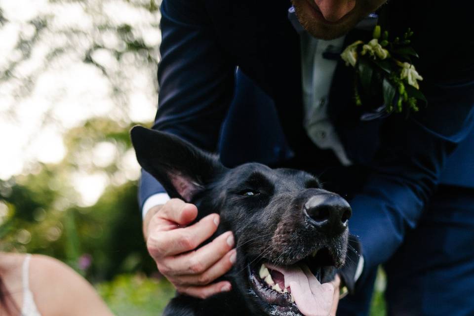 A very good boi