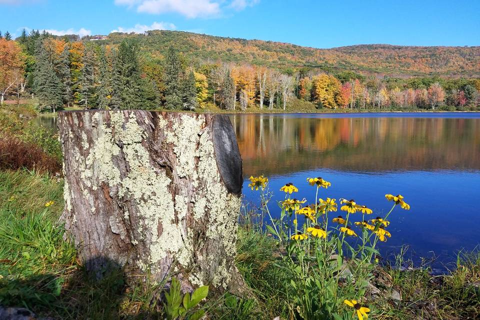 Early autumn colors