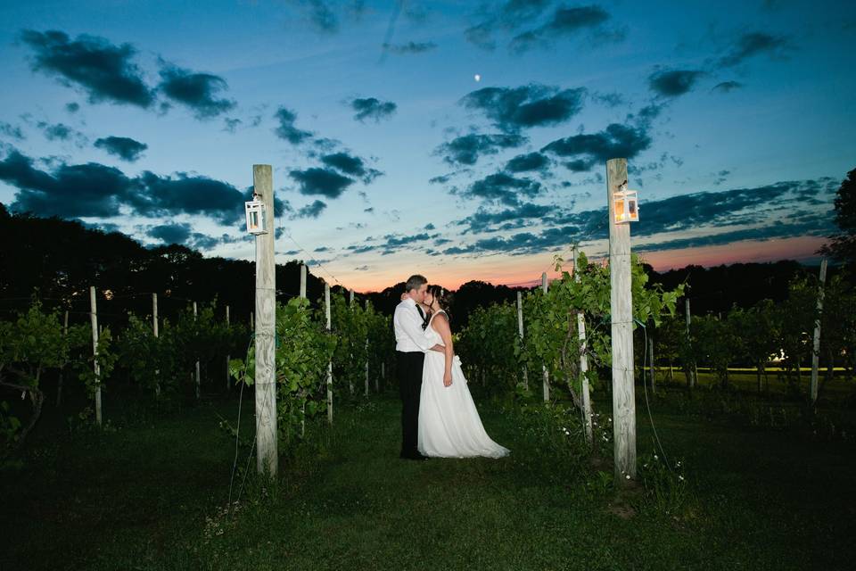 Kiss in the vineyard