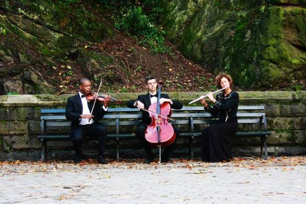 The Four Seasons Ensemble