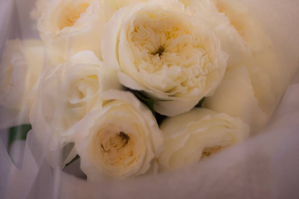 Triplicity Flowers