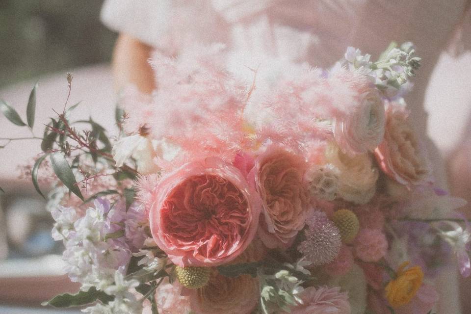 Hannah Malloy Photography