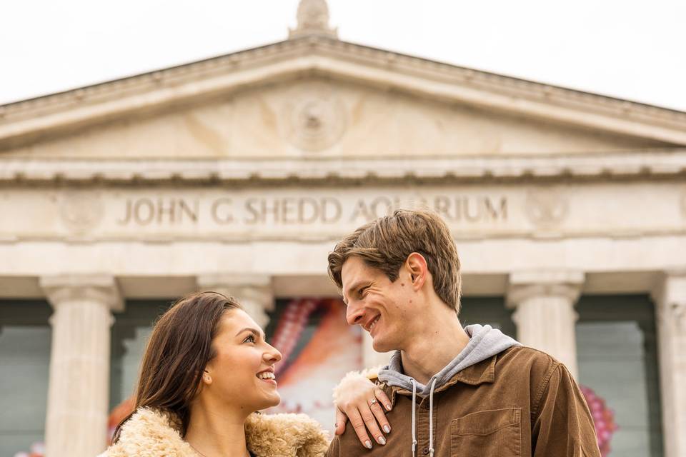 The Shedd Aquarium