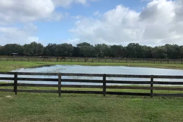 Sunshine Lane Ranch