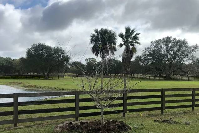 Sunshine Lane Ranch