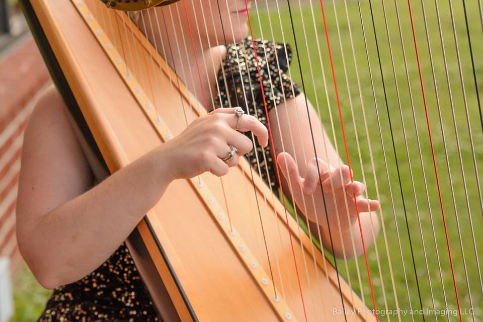 Emily Fife, Harpist