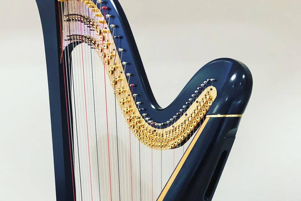 Beautiful picture of the harp