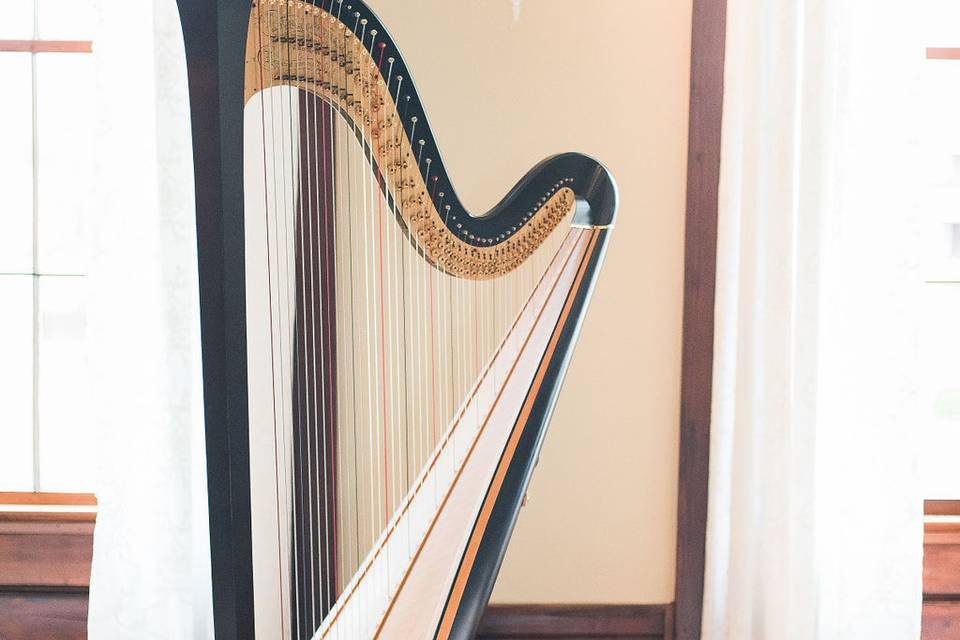 Emily's beautiful harp