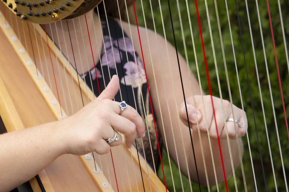 While playing the harp