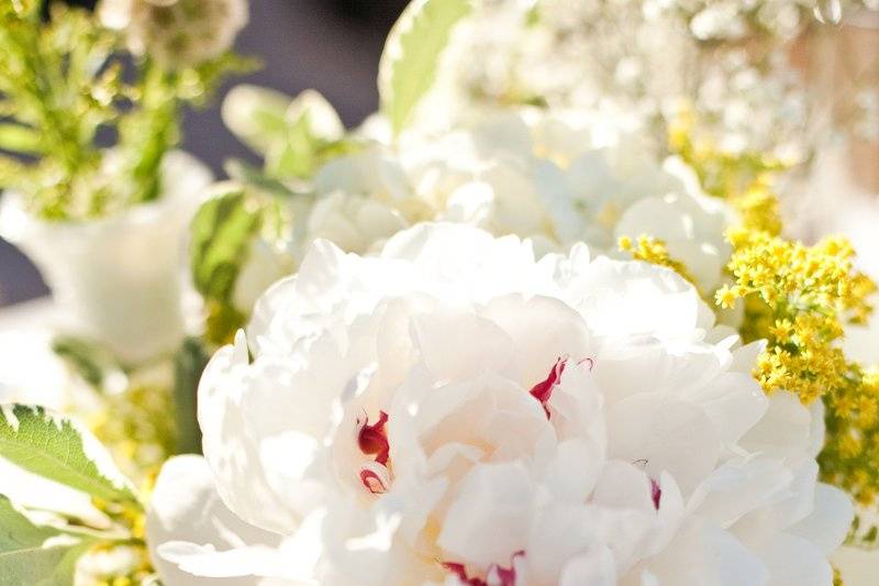 Sweetness & Light Floral Design