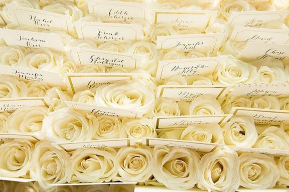 White roses and table cards