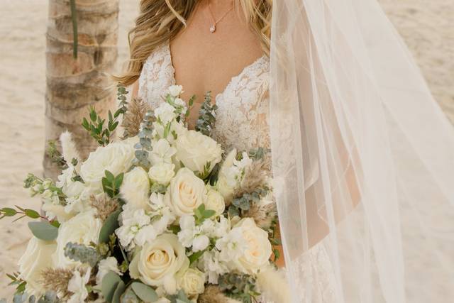 Blush Brides