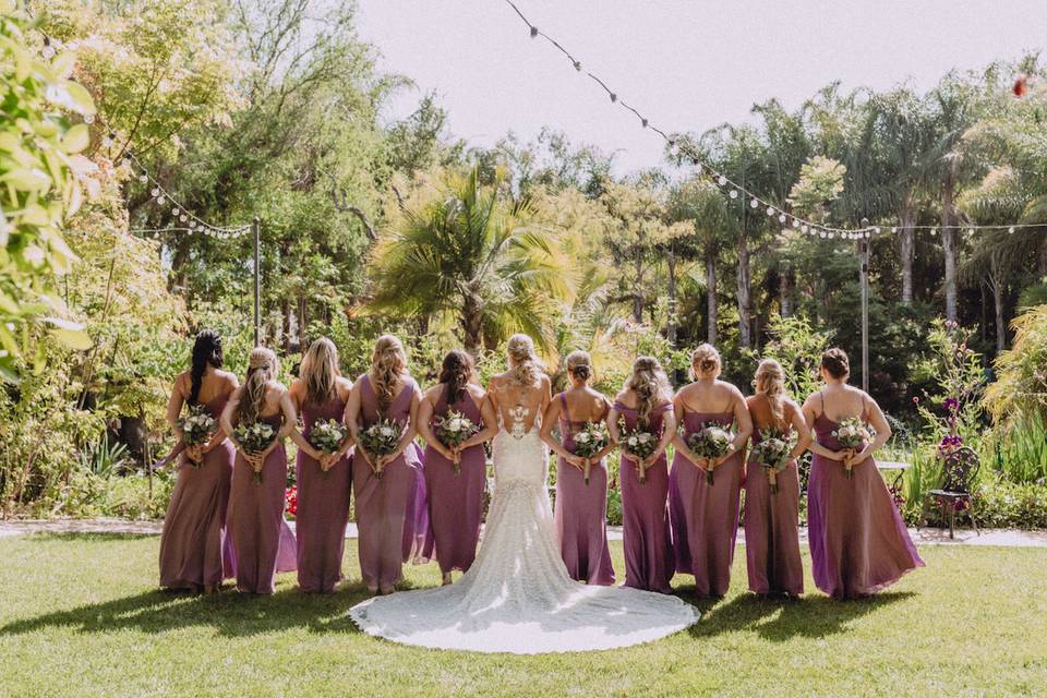 A Bride and Her Ladies