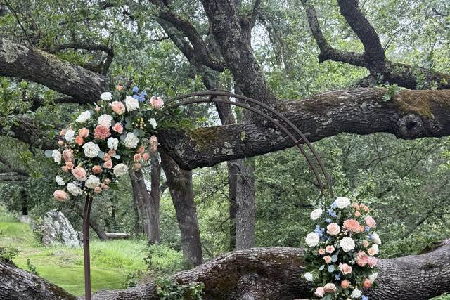 Hanging flowers in the forest