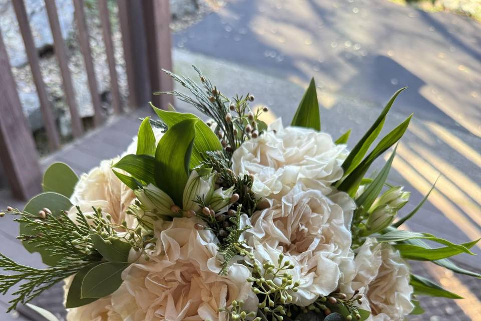 Cotton expression bridal