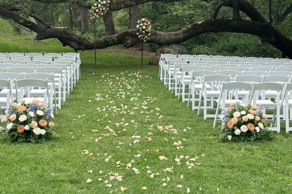 Here comes the bride