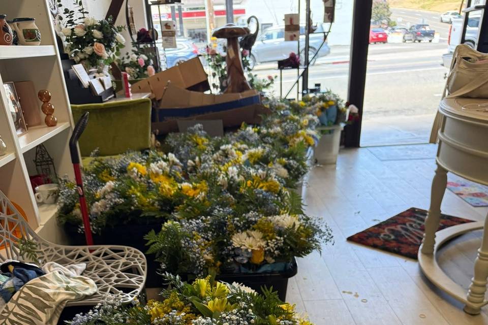 Auburn Blooms Garden & Gifts