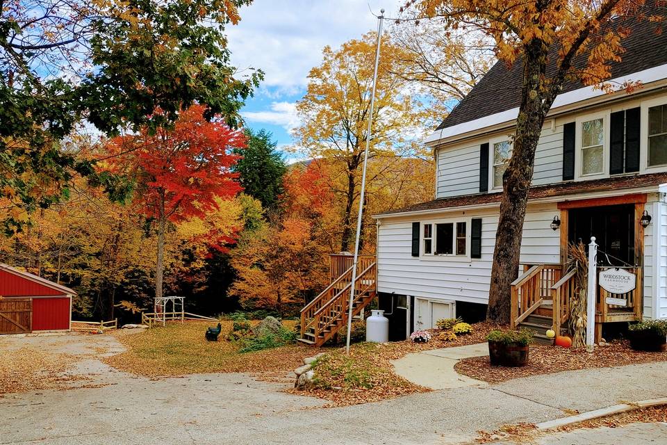 Back yard in fall