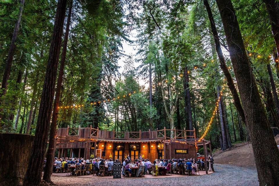 Redwood pavilion