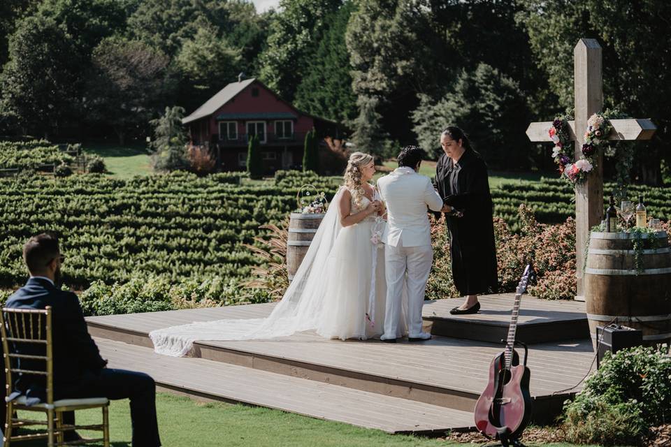 Ceremony in vineyard