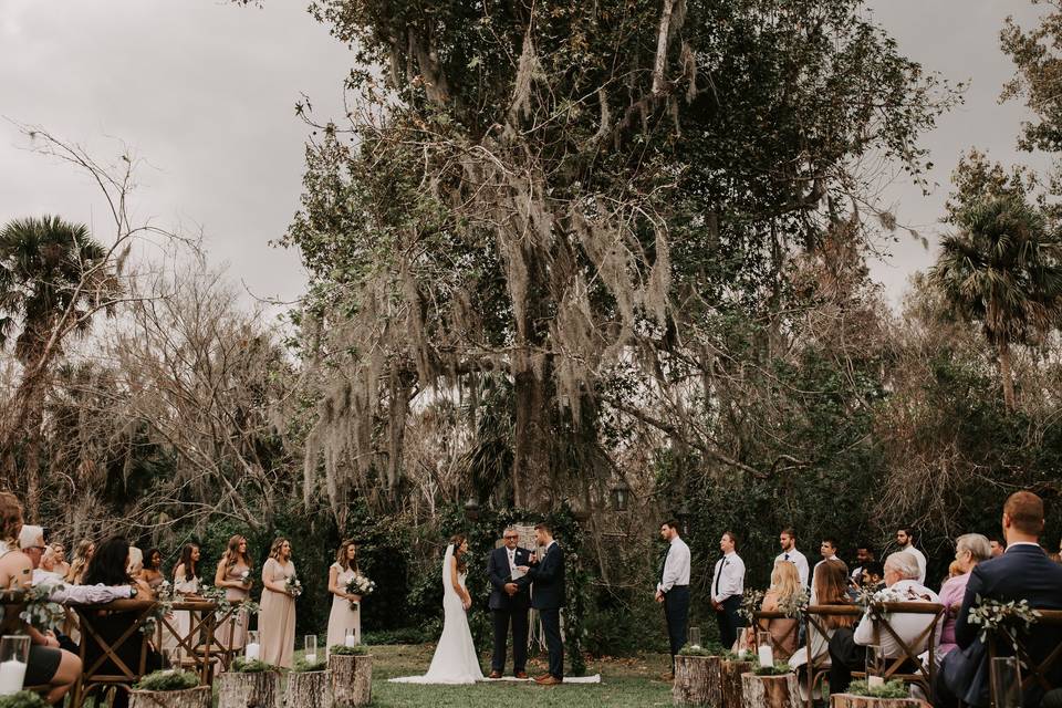 Wedding under tree
