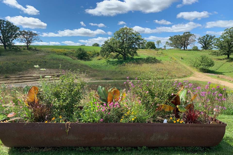 View from Barn