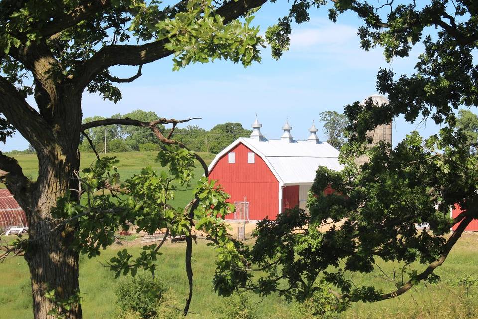 Lloyd Jones Barn Pavilion