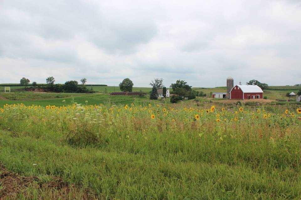 Landscape of the barn