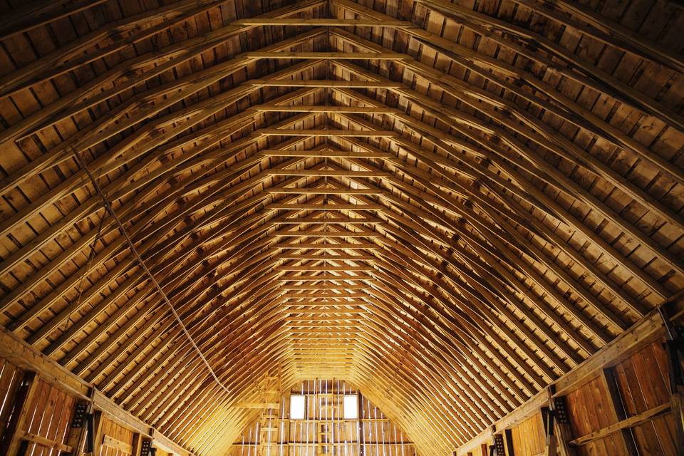 Lloyd Jones Barn Pavilion ceiling