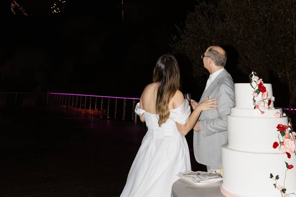 Lake Garda Wedding