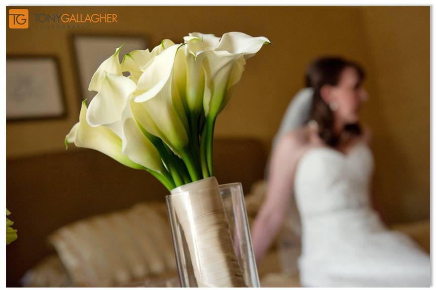 Tony Gallagher Photography