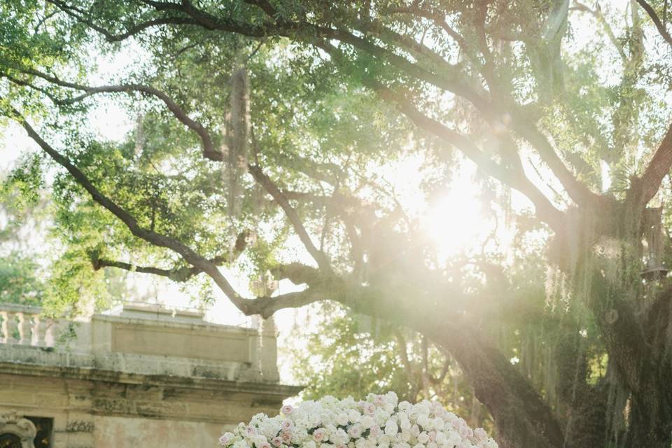 Vizcaya Mound