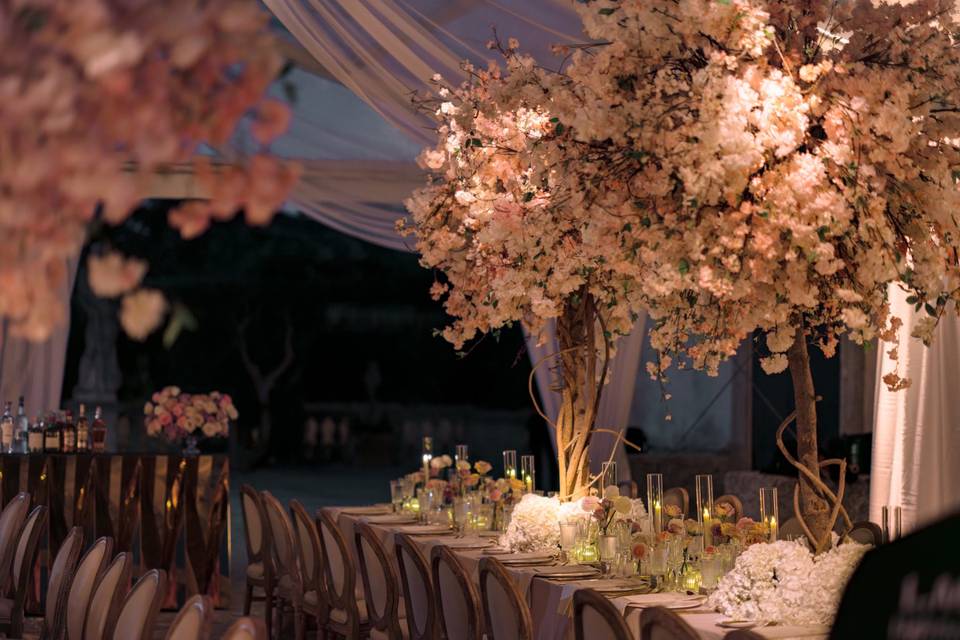 Vizcaya Best Wedding Planner