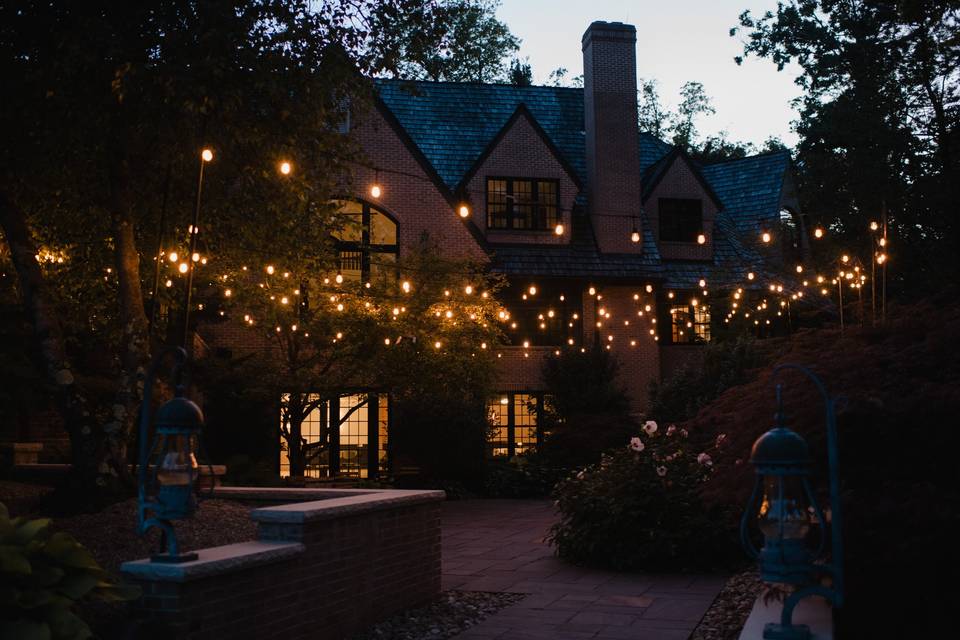 Night Beauty
