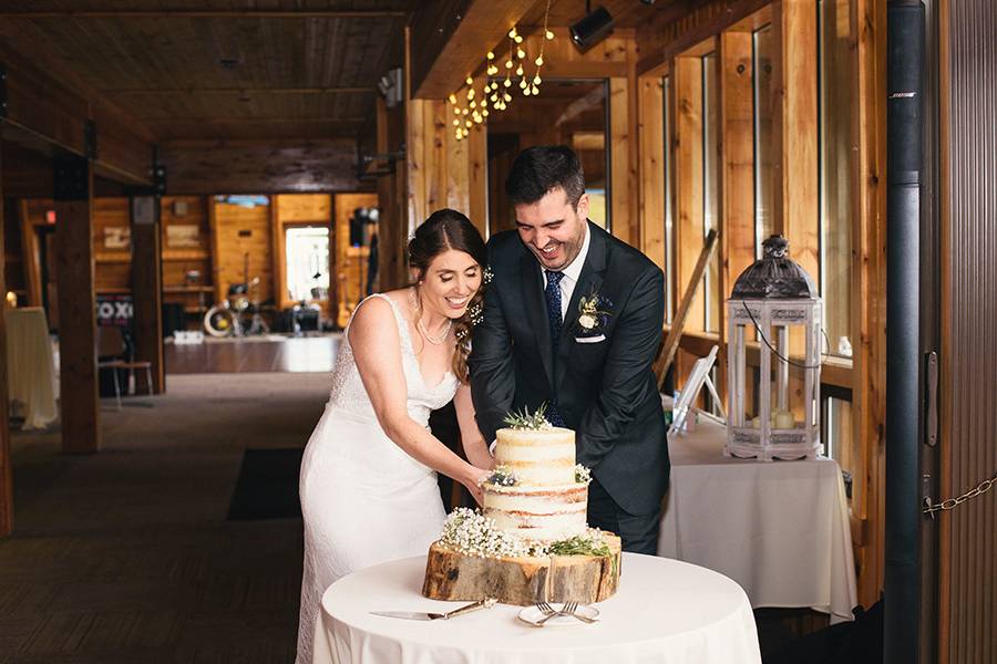 Cake cutting