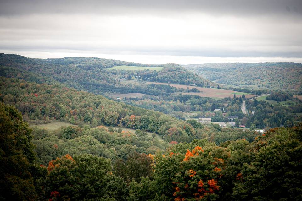 Top of the Hill View