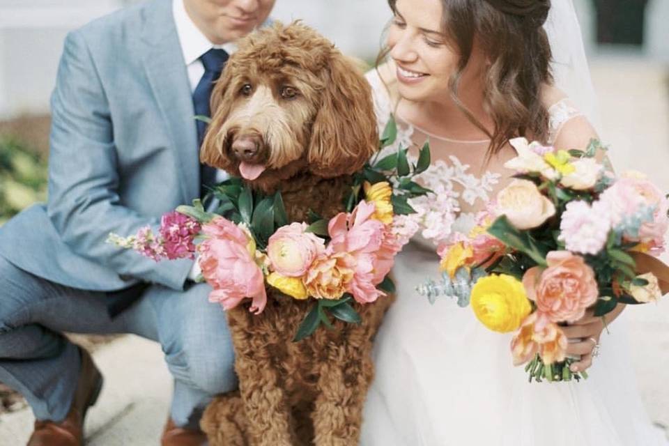 Couple with dog