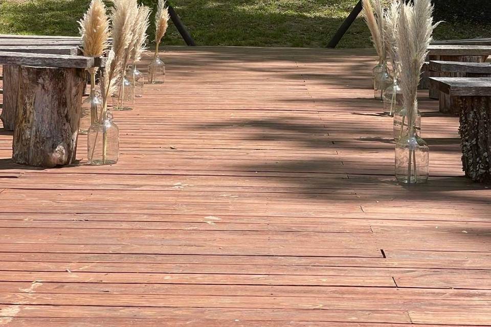 Dried pampas as rental