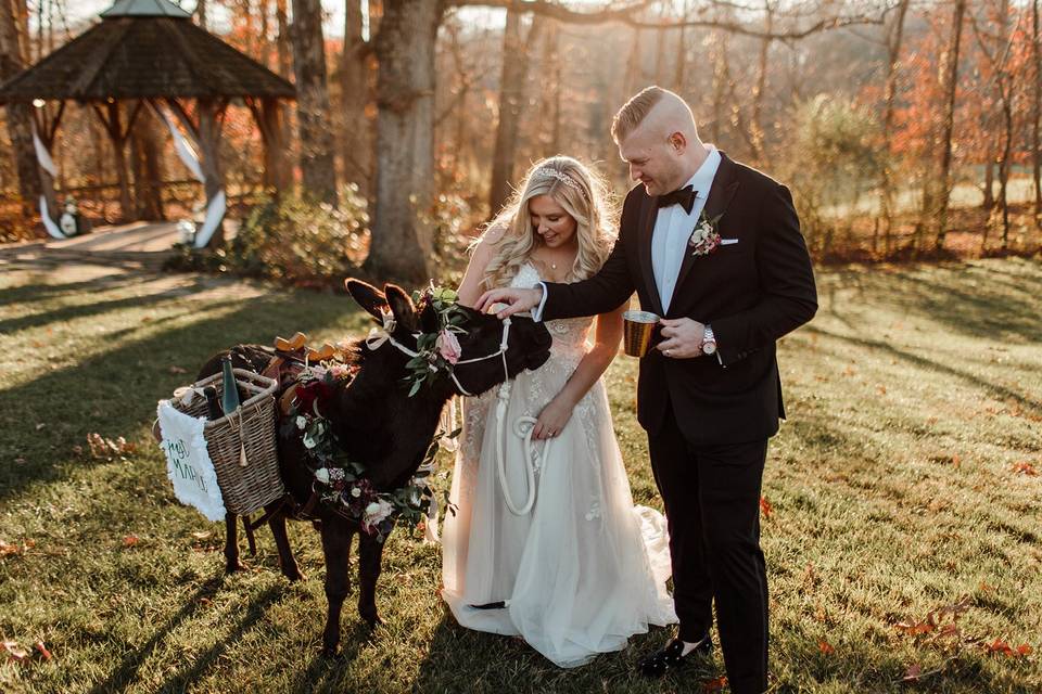 Furry Friends and floral