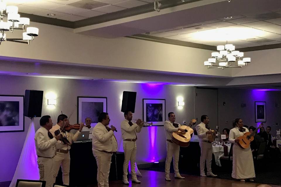 Mariachi Band