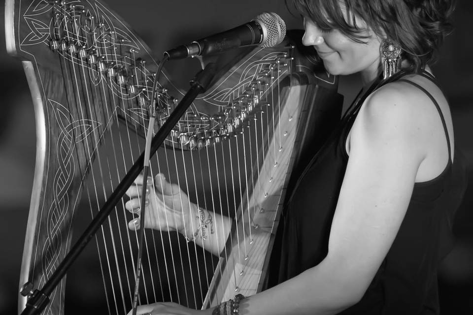 Celtic harpist