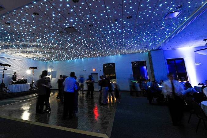 Fiber Optic Ceiling Lights