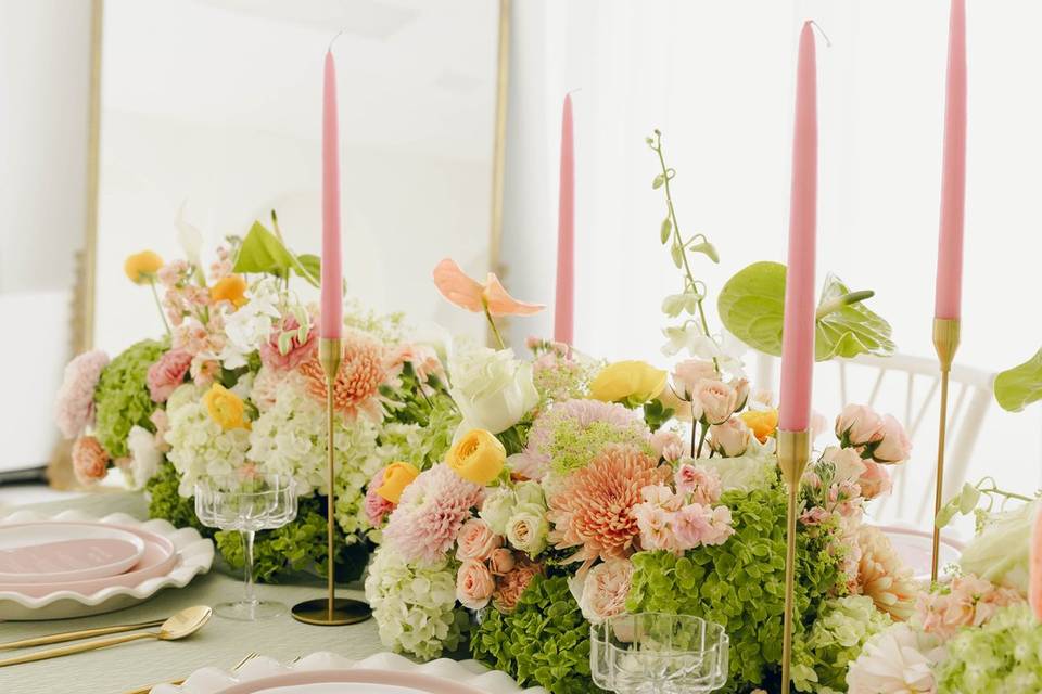 Photo by Isabel Bracho