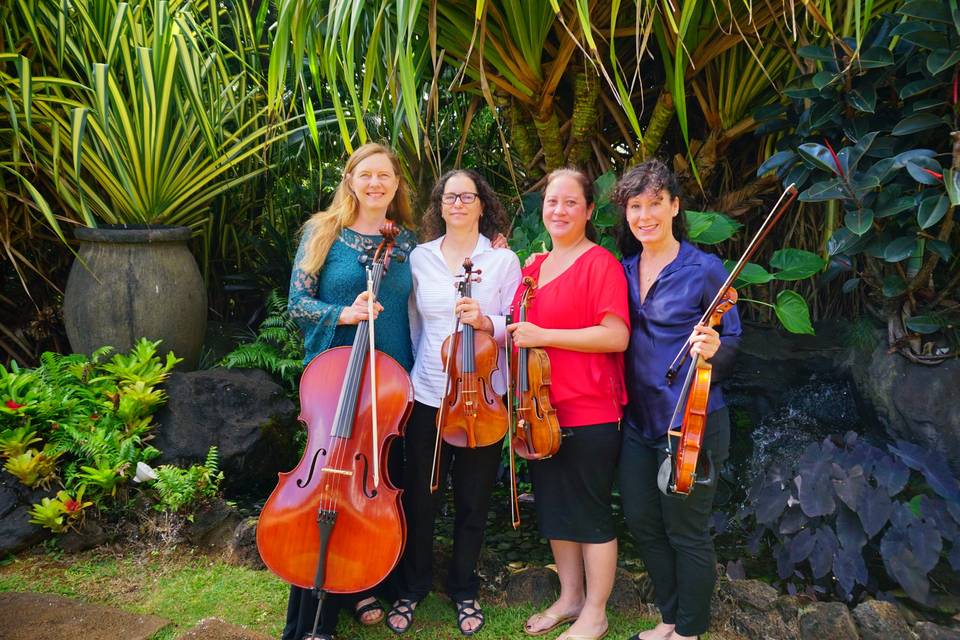 Hawaii String Quartet