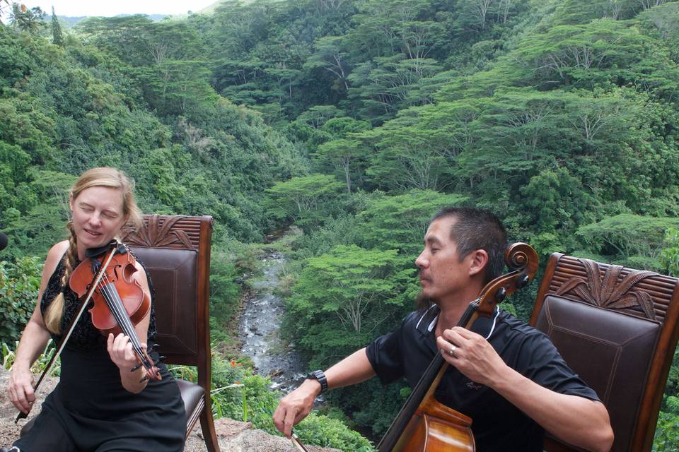 Hawaii String Quartet - Duo