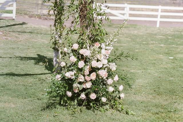 Wild Muse Floral
