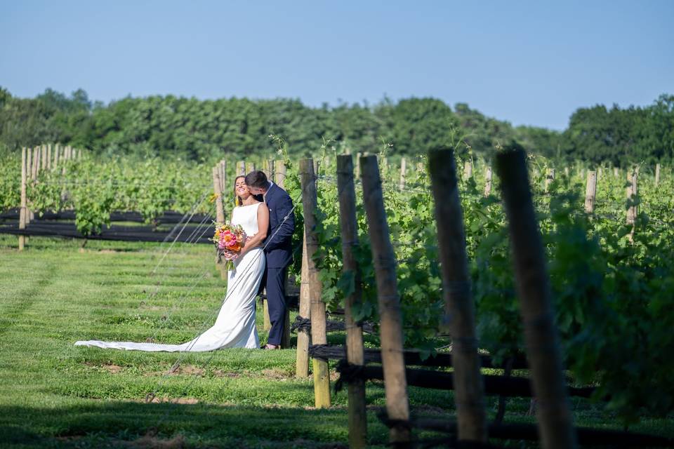 Vineyards at Aquebogue