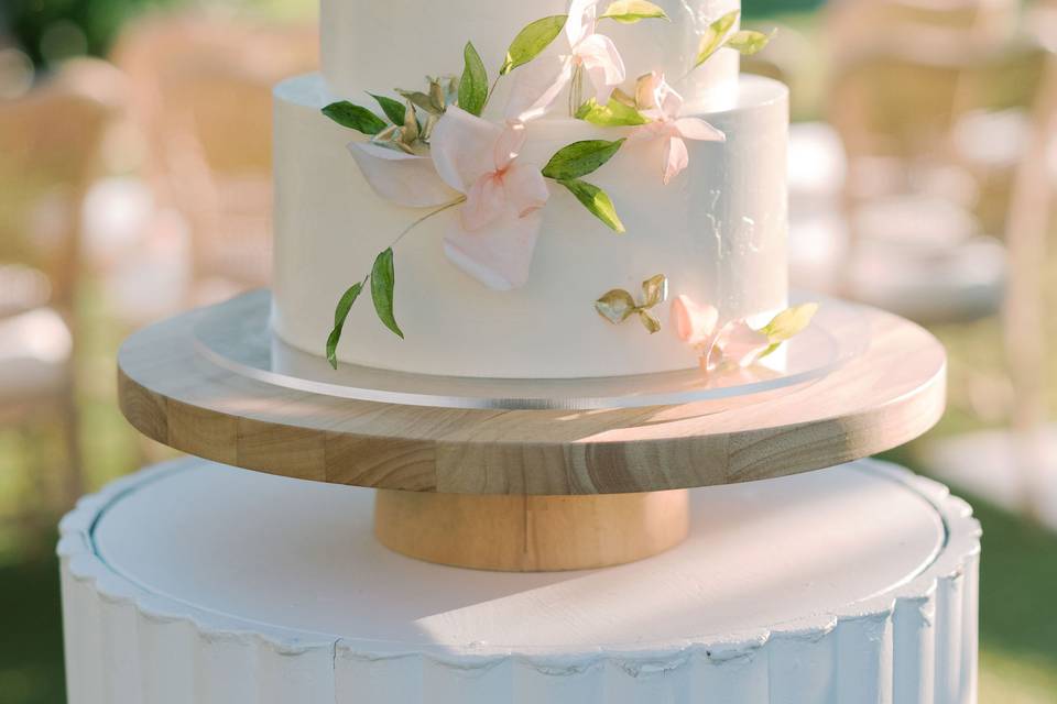 Megan + Eliezer